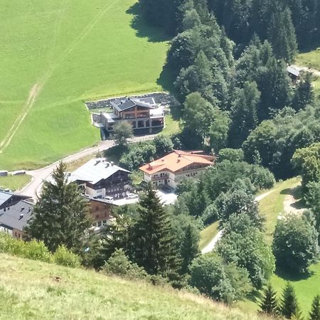 Haus Dienten Top 11 Dienten am Hochkönig エクステリア 写真