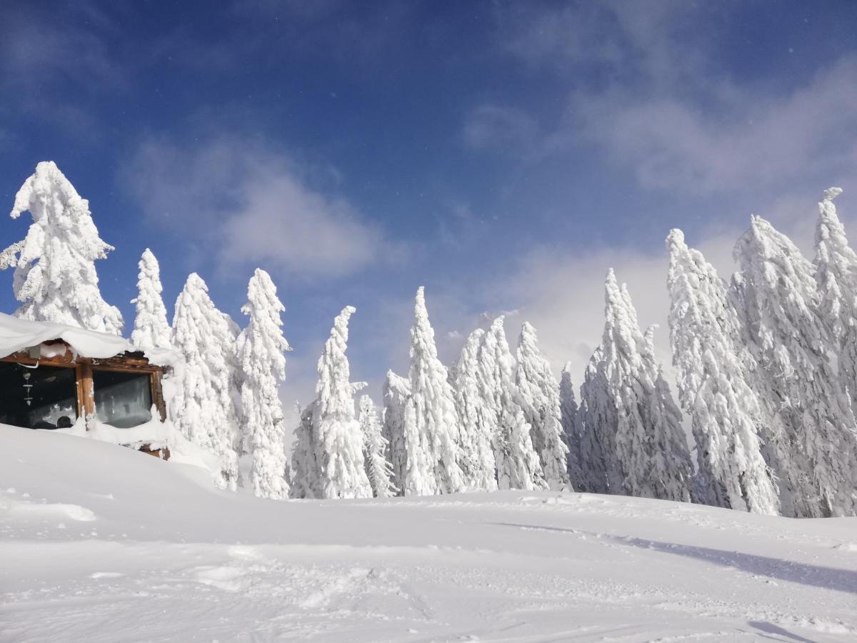 Haus Dienten Top 11 Dienten am Hochkönig エクステリア 写真
