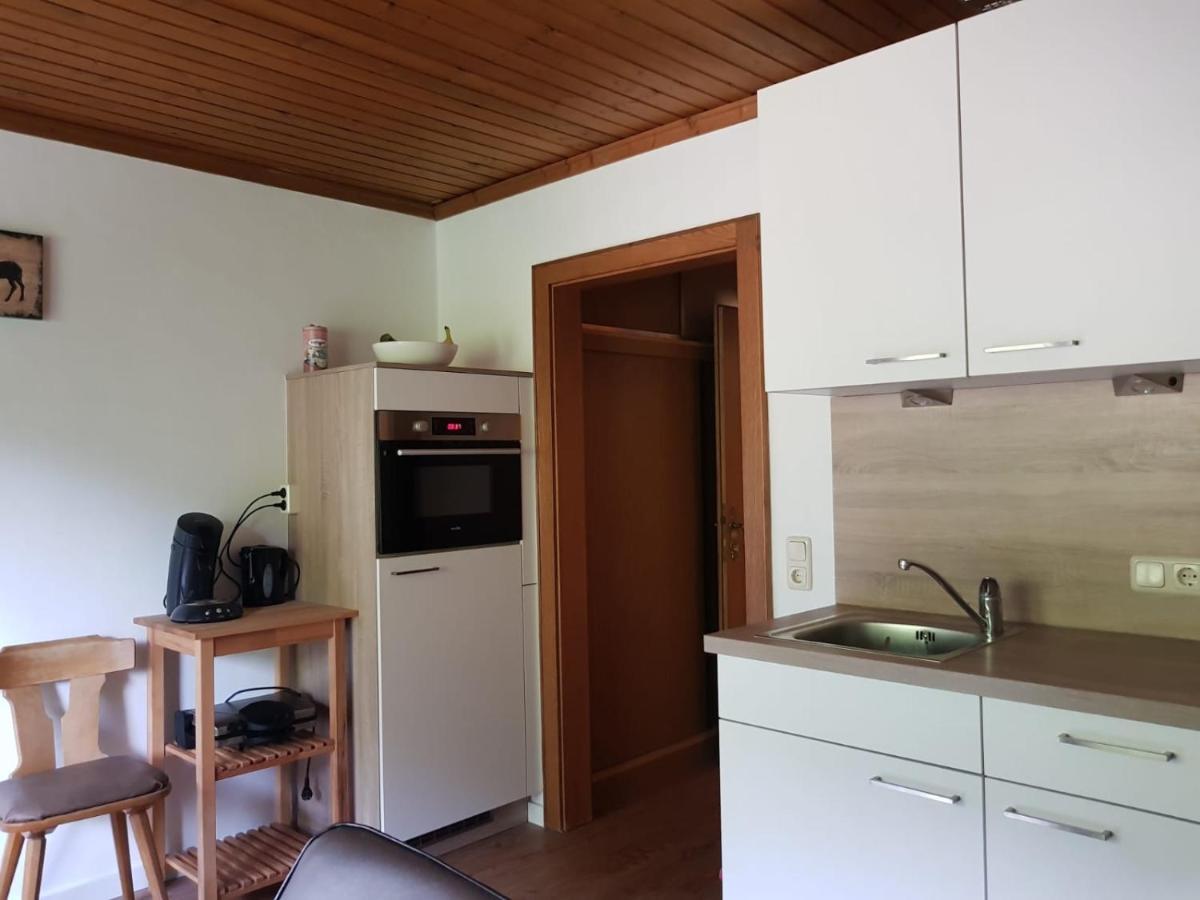 Haus Dienten Top 11 Dienten am Hochkönig エクステリア 写真